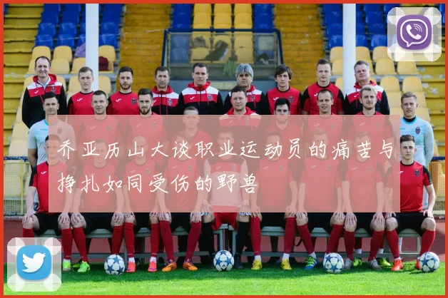 乔亚历山大谈职业运动员的痛苦与挣扎如同受伤的野兽